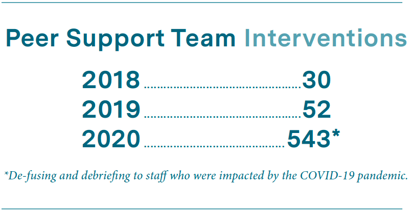 Peer support team interventions infographic